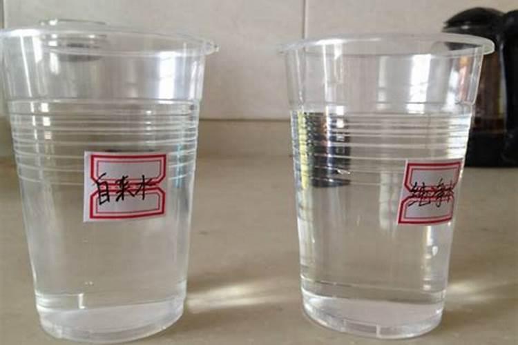 矿泉水和纯净水有什么区别