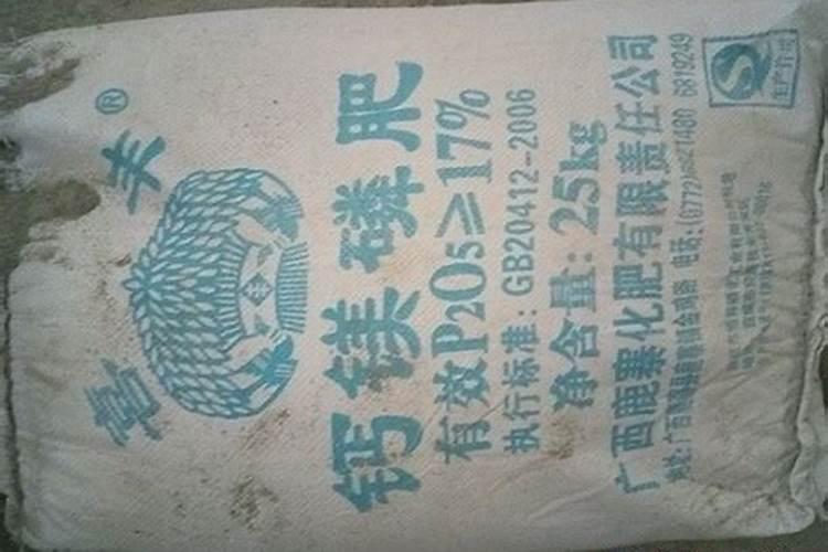 磷肥对果树起什么作用