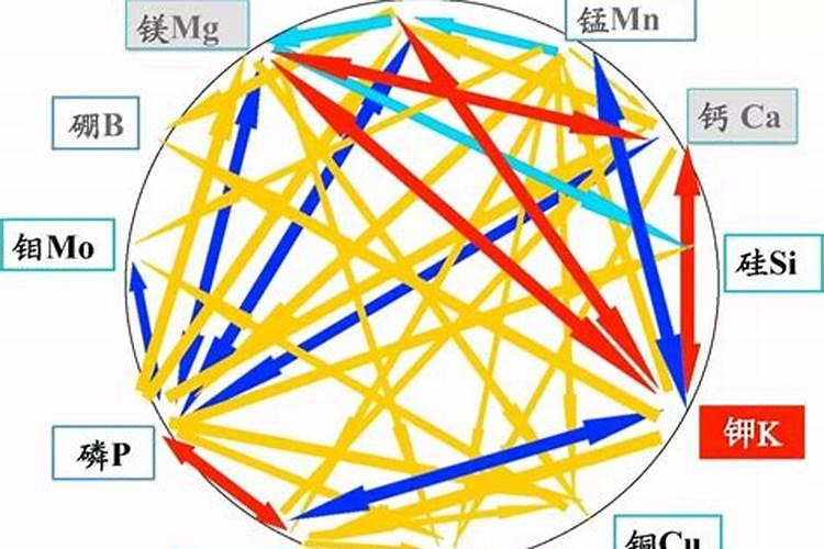 植物缺磷怎么补救