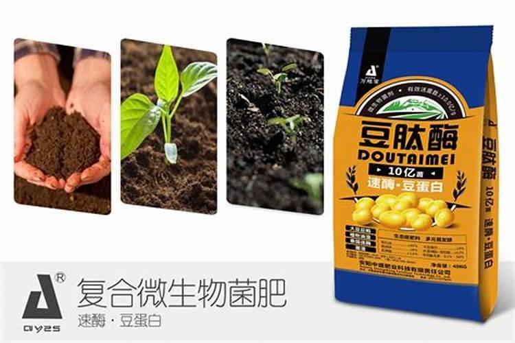 花盆换土放什么肥