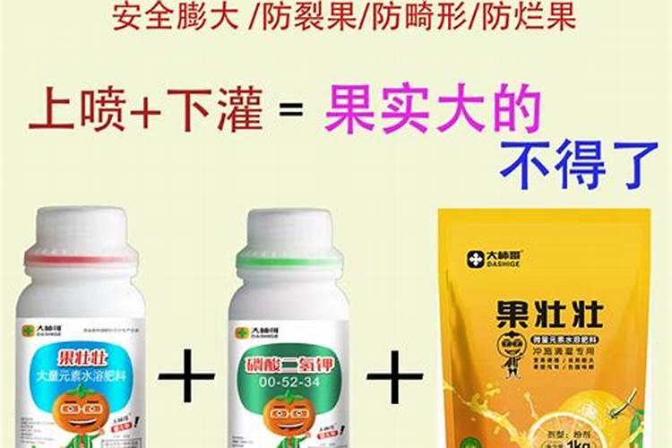 西红柿膨果用哪种叶面肥？需注意什么