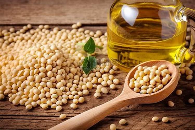 饼肥是氮肥还是钾肥