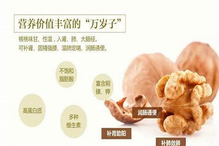 含锌和铜的食物都有什么
