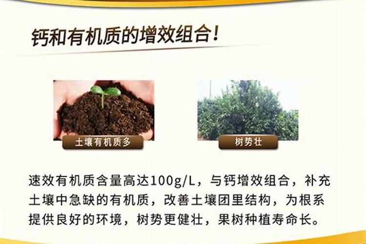 蔬菜种植补钙技巧