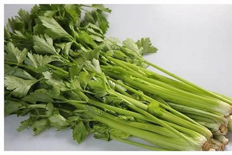 种芹菜怎么用肥才长得快 种芹菜如何用肥才长得快