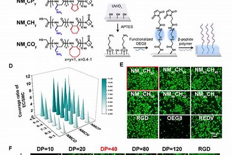 多肽复合肥是什么东西 有什么好处