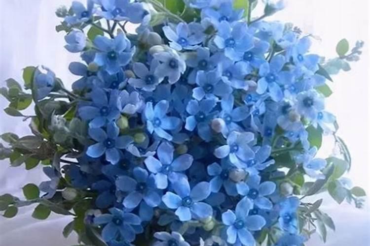 救命!宝宝刚刚一周,早上误食了一点点硫酸亚铁花肥,请问有毒吗？