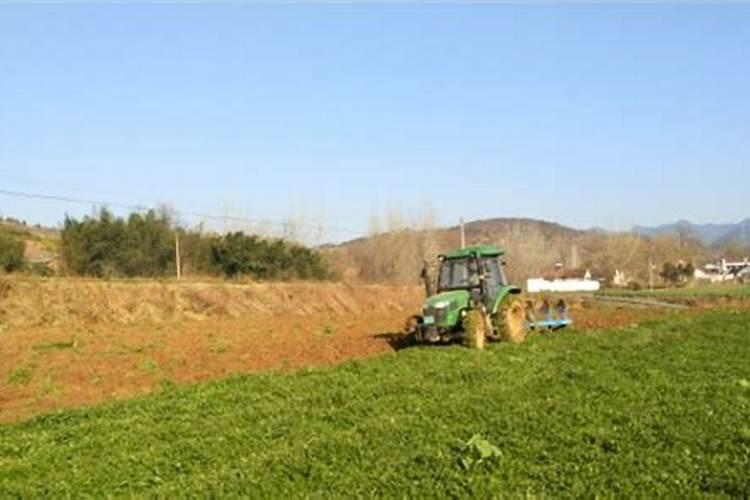 绿肥是什么肥料