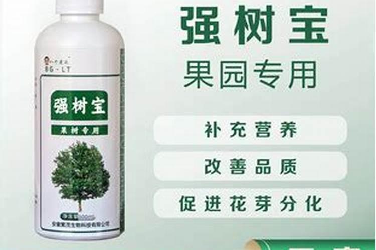 果树用什么肥料最好
