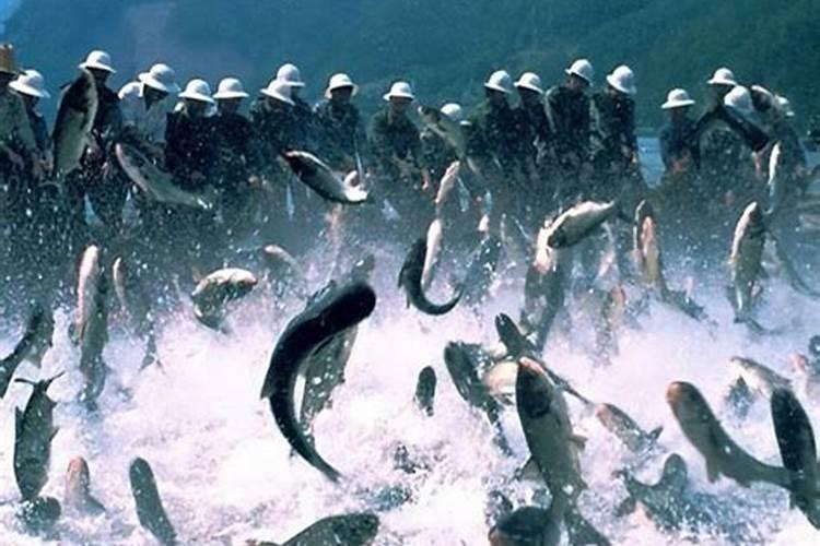 鱼塘放磷肥每亩用多少