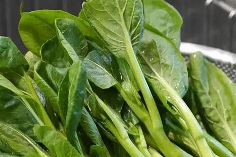 菜心怎么种才不招虫 种菜心不招虫方法