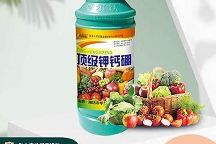 茶花要上什么肥料？