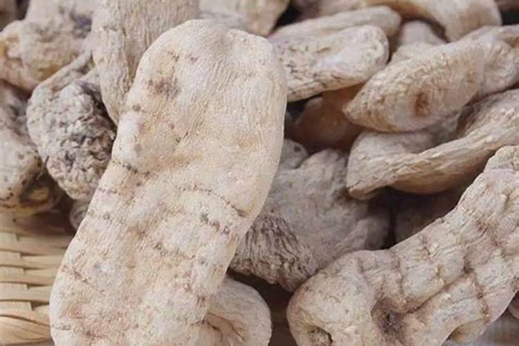 天麻怎么种植技术