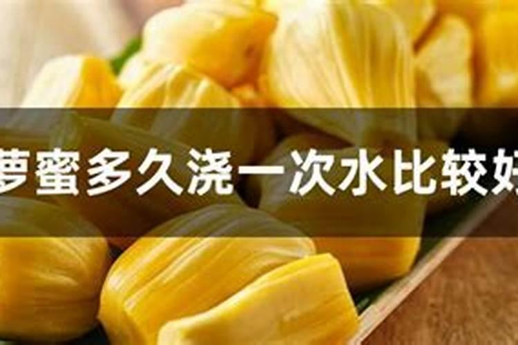 菠萝蜜最好的肥料是什么？