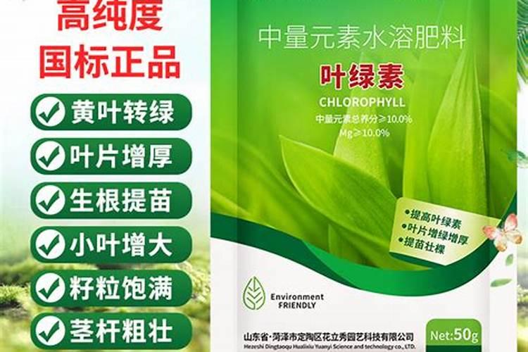 使叶面深绿的叶面肥,使叶色浓绿的是什么肥