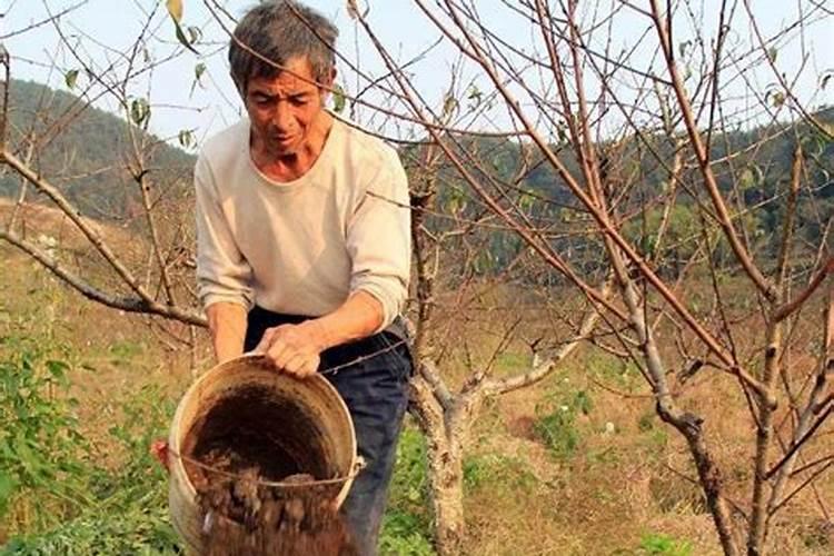 哪个复合肥含钙