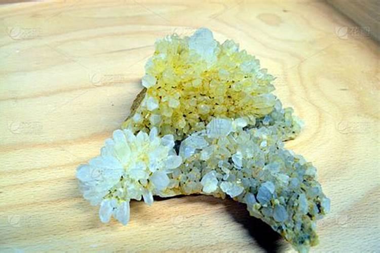 常用化肥种类 植物生长元素主要有哪些