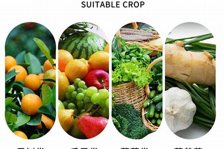 钙镁硼铁锌肥的最佳使用时期