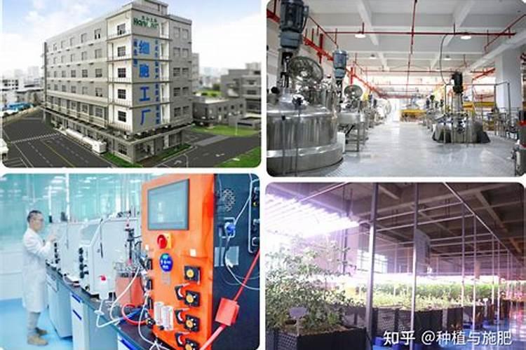 肥料增效剂的定义、分类及作用