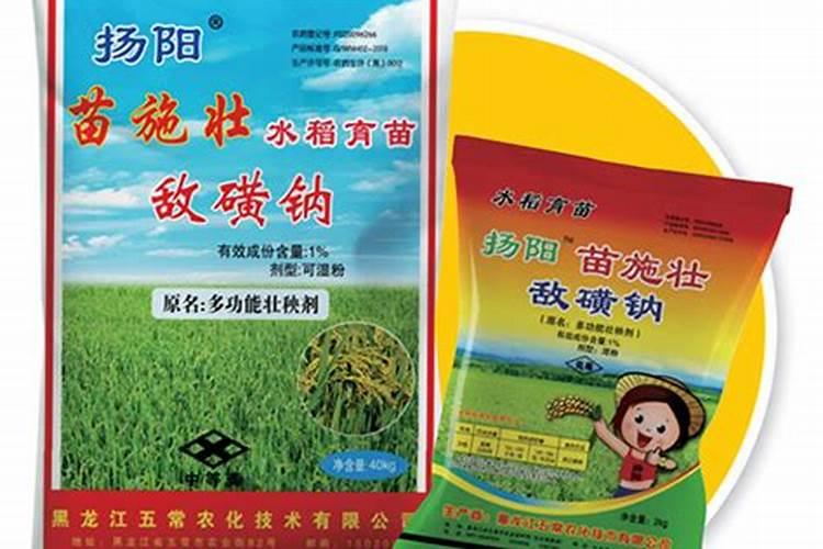 哪个牌子有正宗的五常大米？