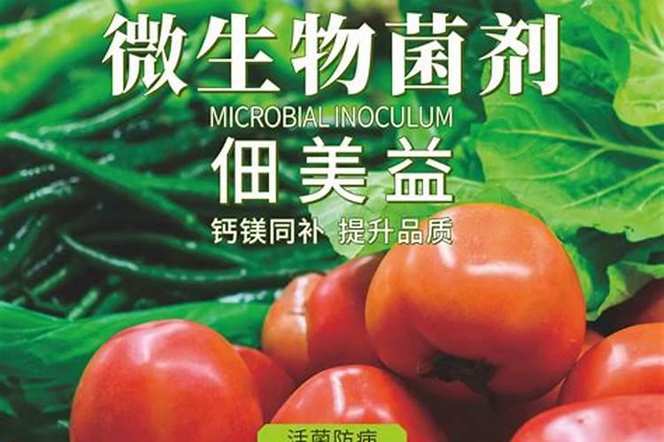 什么是鱼蛋白肥料,鱼蛋白肥料作用及使用方法