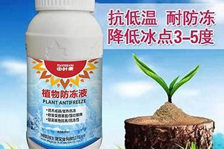 农作物防冻药有哪些
