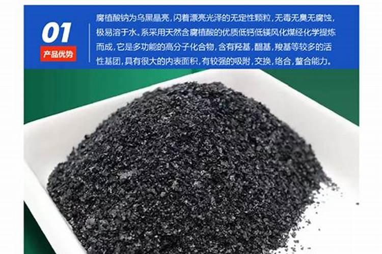 全国最大腐植酸生产厂家