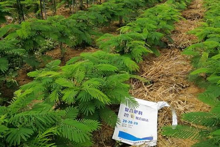 大量元素水溶肥对花卉绿植的用法