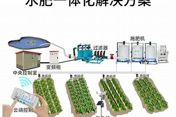 大棚蔬菜水溶肥怎样冲？施水溶肥有什么好处？