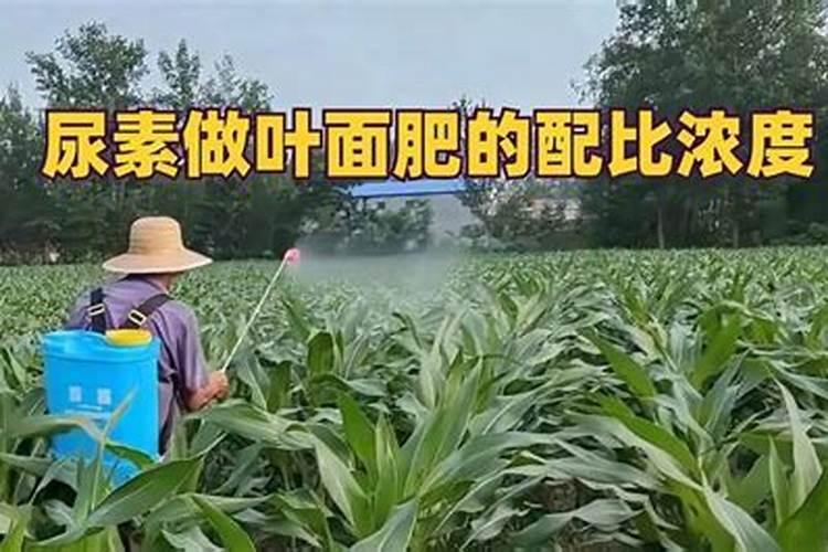 复合肥怎么往花上施肥？