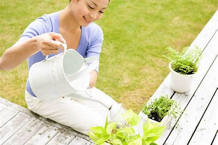 复合肥怎么往花上施肥？