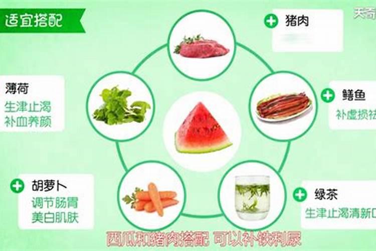 鱼蛋白水溶肥现在怎么用