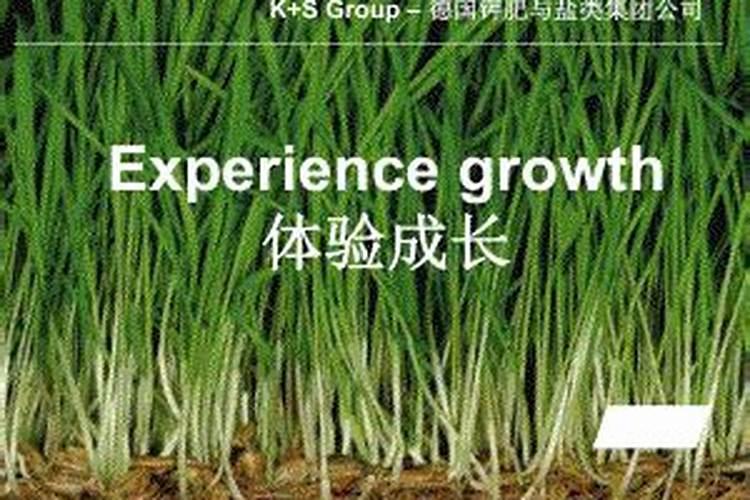 20252030年中国钾肥行业市场调研与投资预测分析报告