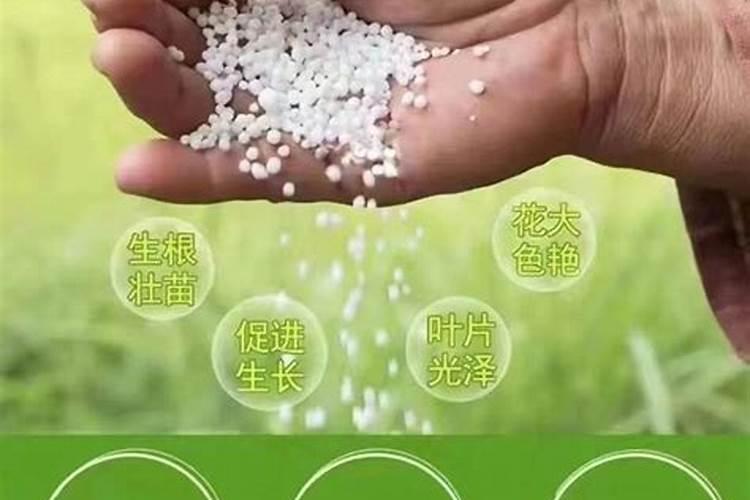 化肥一般的保质期限时长是多少