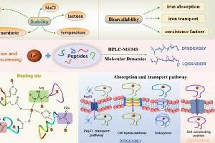 鱼蛋白肥,好的品牌有哪些？