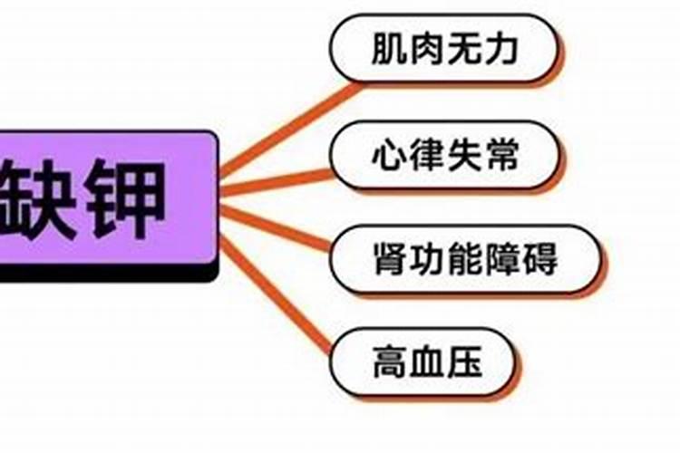 怎么观察自己养的花缺少什么肥料