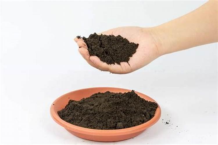 大米沤肥最简单做法