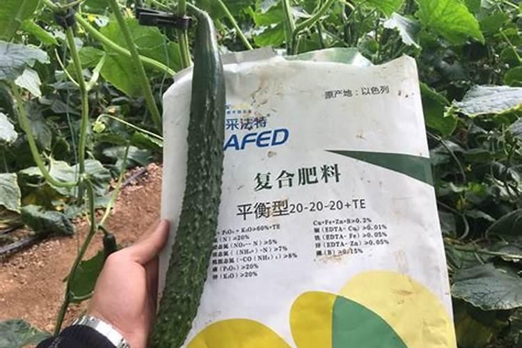 绿萝用什么肥料好