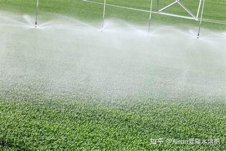 什么化学原料能把毛发融化做成氨基酸水溶肥