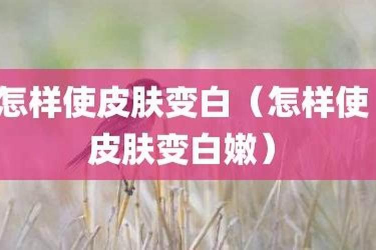 如何让果实变色的方法