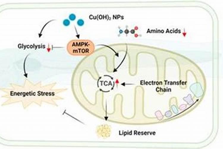 鱼蛋白叶面肥能和乙蒜素混用吗？
