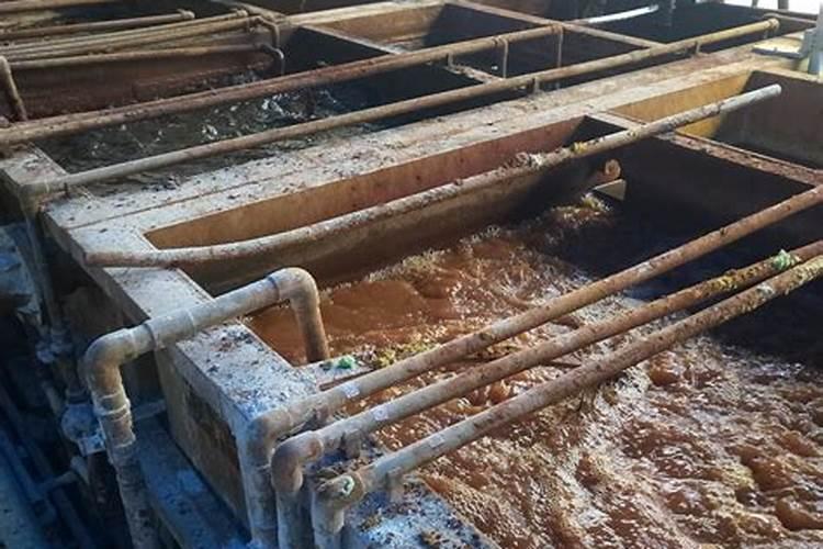 去除氨氮用什么方法,有3种!