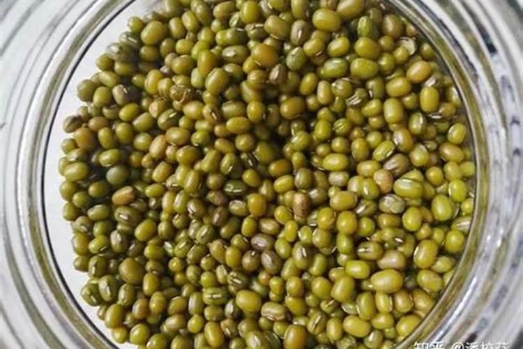 怎样用黄豆做肥料,煮多长时间可以阻止其发芽