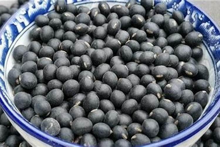 家里的黑豆放久了,想做点花肥。怎样用陈豆做肥料