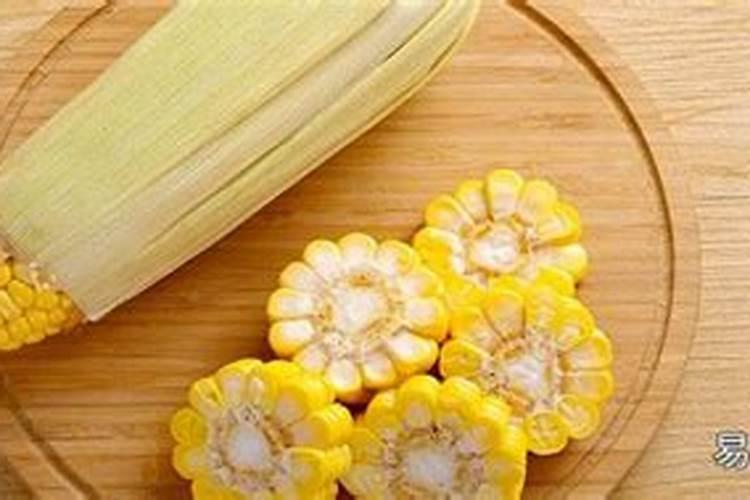 仙人指养殖管理