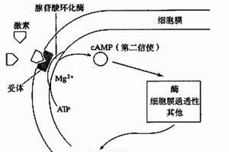 养鱼稻田如何施用氮肥