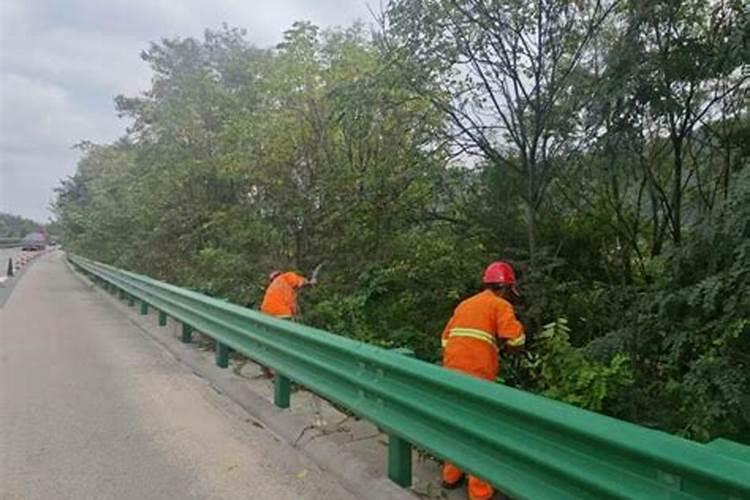 桃树什么时候施肥效果好,桃树施肥最佳时间