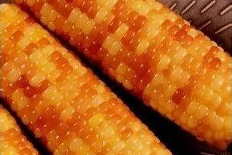 玉米煮熟后,可否作果树肥料？