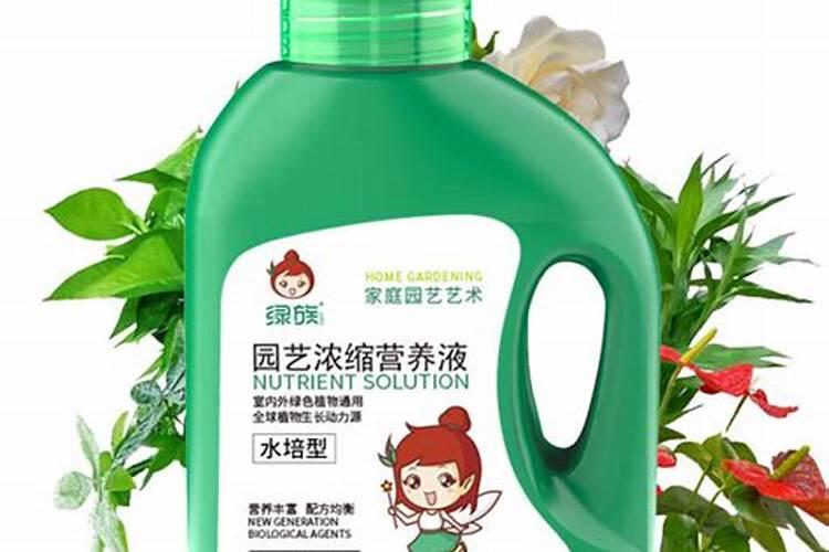 养水仙花用什么肥料