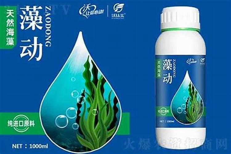 海藻肥属于什么肥料 附使用方法